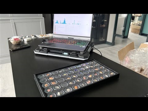 Seashell Rio kanalı canlı yayında