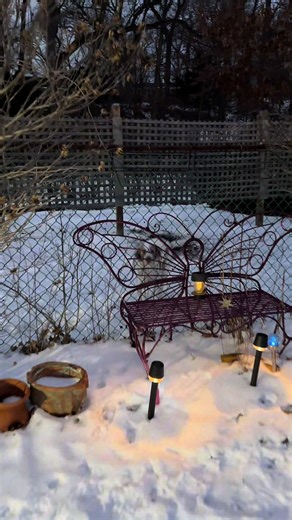 Max gets his new years treat