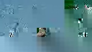 Not even Scottie is safe! Vote now to keep him in the game and decide who will be the next generation of tokens at VoteMonopoly.com. | Monopoly