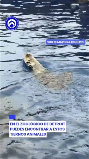 ¡Nutria se soba la carita y derrite corazones!