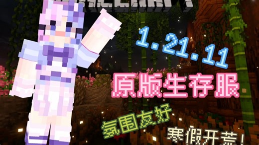 【Minecraft服务器】寒假招新！1.21.11生存服开荒（正版）星露岛DSL
