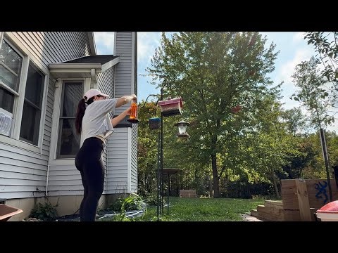 Easy Homemade Hummingbird Food (Dye Free)!