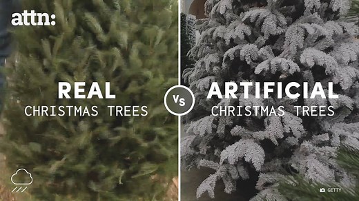 10M views · 147K shares | Artificial Christmas trees are 20 times worse for the environment than real ones. Like ATTN: Video on Facebook. | ATTN: Video | Facebook