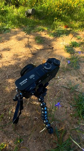 Why should you film with your Fuji X100V / X100VI #fujixseries #fujifilmcamera #fujix #fujixpassion