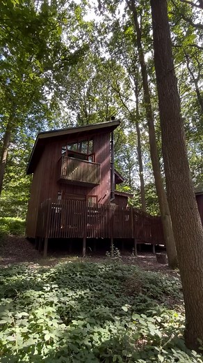 Step inside your home away from home 🌲 Ideal for couples, these two-storey Golden Oak cabins are exclusive to Sherwood Forest, offering everything you need for a relaxing getaway. Explore our cabins: forestholidays.co.uk/cabins | Forest Holidays