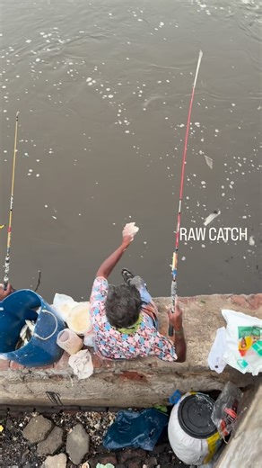 RAW_CATCH on Instagram: "Rural man awesome technique to catch sea fish"