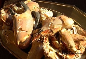 Recette de tourteau à la mayonnaise savoureuse