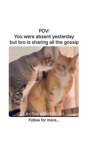 LectureNotes AI on Instagram: "Download LectureNotes AI and walk into class like you never missed a single minute, with every detail waiting for you just like a friend who loves spilling all the updates. Because staying on track feels effortless when your notes are always one step ahead. LectureNotes AI keeps you fully updated no matter what. #studyapps #studysmart #studentlife #lecturenotesai #studentmotivation #ainotetaking #reach #explore #mit"