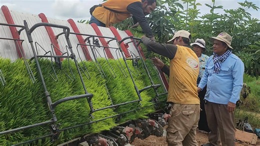 18K views · 455 reactions | PJD Agricultural Machinery | Pikada japan direct co.;ltd | Facebook