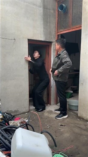 Crazy Dog vs. Cat: Unleashed Laughter