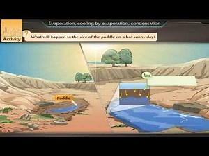 To study the process of evaporation | Class 9 | Chemistry Practical | #science