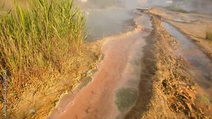 A wild hot mineral spring with steam rising above the water amidst untouched nature. Volcanic therapeutic mud at the bottom of the spring.