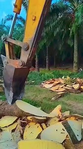 Dimag khatrnak ban jayega . . #mindpower #learning #khatrank #lifechanging #motivation #succestips #motivationalspeaker #growthmindset #LifeLessons | global gyan