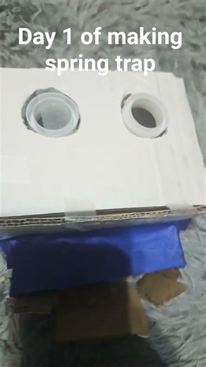 day 1 of making spring trap