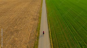 Woman cyclist cycling on asphalt road separating two fields of green and yellow color air view. Bicycle ride through farm fields in spring drone view. Two-colored agricultural field split by road.