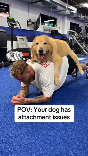 250K views · 6.7K reactions | My new boxing coach | Jake Paul | Facebook