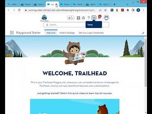 Configure Page Layouts and Record Types