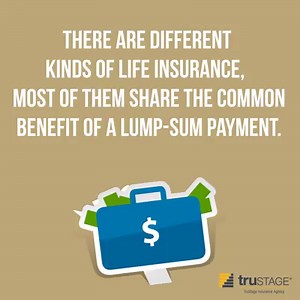 3.2K views | What is life insurance? So glad you asked. Spare us...