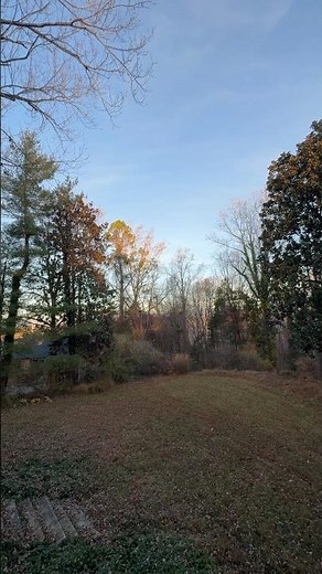 Sunrise out back — 180°