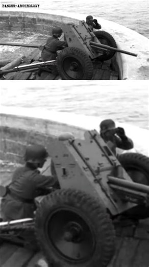 3.7 cm PaK 36 part.2 #history #ww2 #military