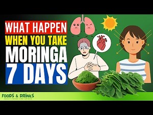 Moringa Benefits (11 Health Benefits You Will Get When You Take 7 Days)