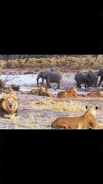 What Happens When 9 Trillion Liters of Water Are Poured into a Desert?