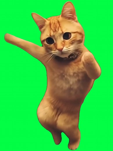 Green screen cat meme template: a dancing cat grooving to the viral Brazil beatbox sound. Perfect for creators making funny or upbeat edits with trending audio. Import into CapCut, remove the green background, and sync it with your favorite beat or clip for maximum impact. Works great for reaction videos, remixes, or humor-based edits that catch attention on the For You page. Use this CapCut green screen template to join the viral trend and make your video stand out. #CapCutGreenScreen #CatMeme 