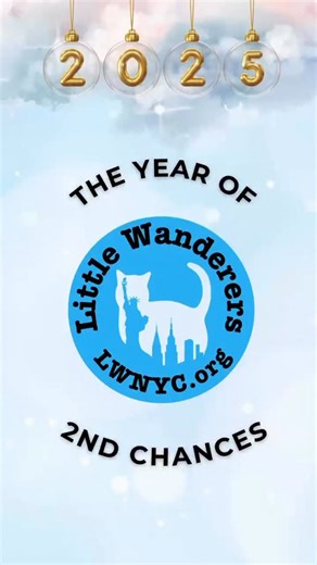 ✨Little Wanderers worked tirelessly in 2025: 🐾 1,200 lives needed help this year. Each one was a moment where someone had to decide whether to step in — or not. 💛 When you become a patron on Patreon, you’re part of that decision. 🔗 https://www.patreon.com/littlewanderersnyc Your monthly support is what lets us keep saying yes — to medical care 🏥, to food 🍽️, to fosters 🏠, to cats who can’t wait. 🐱 Patrons help in real ways: • $5/month helps cover food and daily care 🍲 • $15/month helps f