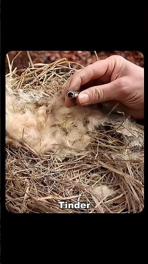 Ancient Fire Piston How Old Technology Ignites Fire #shorts