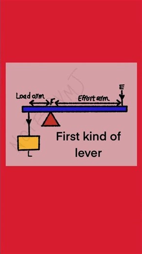 First Class Lever Explained | Simple Labelled Diagram