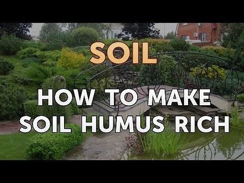 How to Make Soil Humus Rich