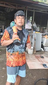 455K views · 5.6K reactions | 6 in 1 diamond cutting blade ,wood,pvc,tiles, granite,glass and metal | Kuya Lito DIY Philippines | Facebook