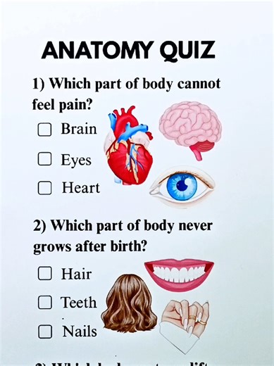 Anatomy Quiz-Can you get 6/6? #anatomy #usa🇺🇸 #trivia #quiztime #fyp