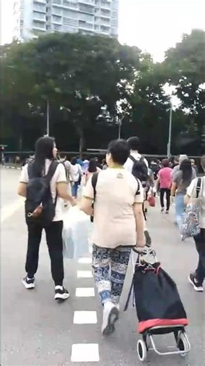 সিঙ্গাপুরের রাস্তা ভ্রমণ | Walking Through the Streets of Singapore 🌆🚶‍♂️#singapore #travel #shorts