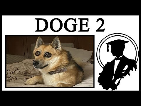 How DOGE 2 Was Officially Released