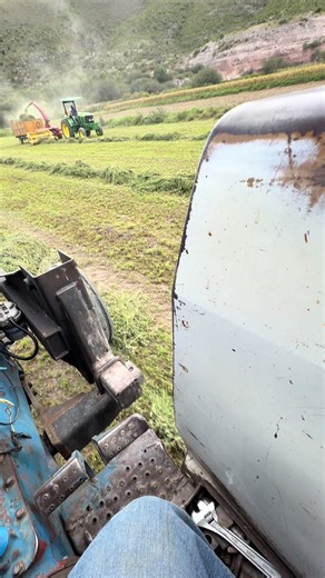 Ensilandoforraje con maquinaria agrícola