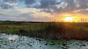 Savannas Recreation Area | floridarambler.com
