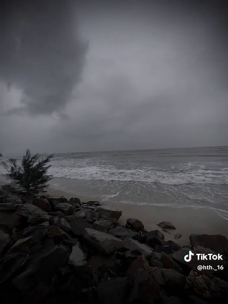 Video của 🪼 (@hth._16) với bản nhạc Hoi Tham Nhau - Le Bao Binh