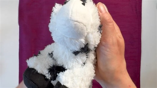 Watch What is all the mooing about? on Amazon Live