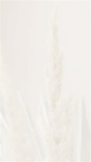 ふたばこども園 on Instagram: "1月7日は七草の日🌿 七草の話を聞き、実際に七草を触ったり、匂いを嗅いだりしました！ 今日のおやつは七草粥でした！今年1年元気に過ごすことができますように☆ #ふたばこども園 #薬師寺幼稚園 #第二薬師寺幼稚園 #下野市 #就活 幼稚園教諭 保育教諭 保育士 内木学園 内木会 栃木県 新卒 転職 中途採用 保育園 幼稚園 小規模保育 こども園 子どものいる暮らし 七草"