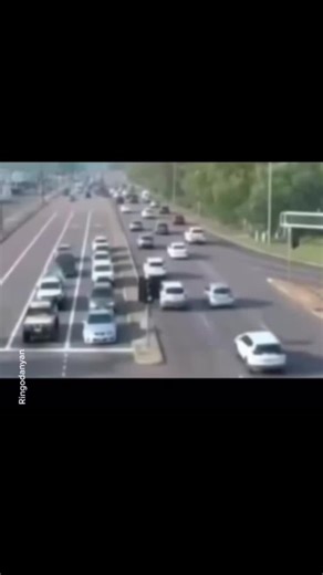 ISTP vs INTP: Memes and Personality Dynamics