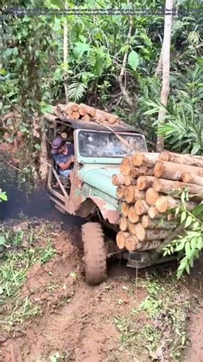 تحديات الطبيعة: كيف يتغلب المزارعون على الطرق الوعرة في المناطق الريفية