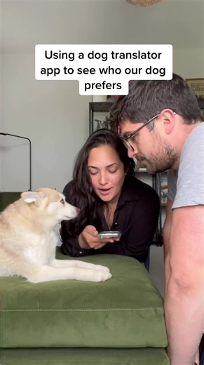 Dog Translator App: Communicate with Your Pet in Their Language