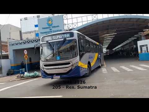 Movimentação de Ônibus - Terminal de Apucarana (Nova Frota VAL 2026) Caio Apache Vip (Parte 01)