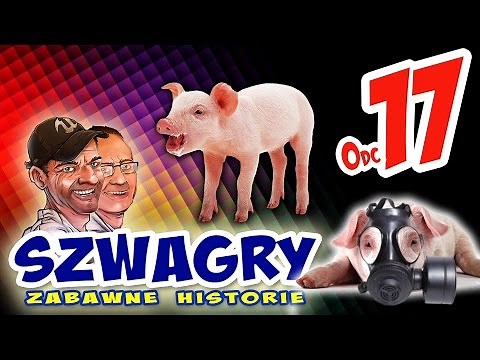 Brothers-in-law 17 - Piglets.