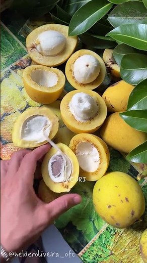 COMO são as frutas AMAZÔNICAS (Duvido você conhecer todas)