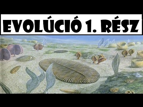 Az Élővilág Evolúciója 1. Rész - A Kezdetek (Prekambrium)