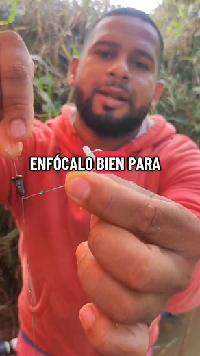 Atrapó una tilapia con arroz 😱 Super efectivo el arroz para pescar tilapias 🔥 #pesca #tilapia #pescaconarroz | Pescando con Victor