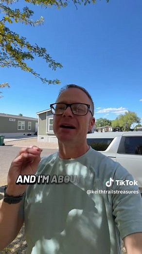 Arizona State Tree: The Special Palo Verde