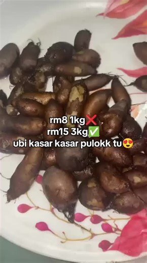 Affordable Ubi Kayu Options for You